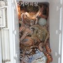 오케이피싱