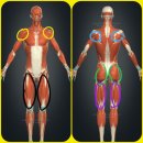 사하구 하단 연중무휴 24시 헬스장 트렌드핏 가격, 시설 및 PT 후기