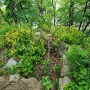 서성초등학교 이미지