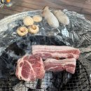 남양주 굼 | 애견동반 가능한 캠핑식당 바베큐식당 내돈내산 대만족 후기