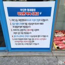 무모한초밥대전 이미지