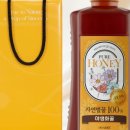 호꿀이네 이미지