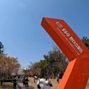 노래하는 대한민국 경연 예심 이미지