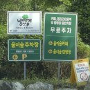 포천제일오토카센타 | 경기 포천캠핑장 울미숲 오토캠핑장