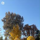 수리산 | [건강출구] 범계역 청년출구 가을 수리산 등산 프로그램 후기