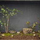 호텔 고준관 이미지