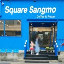구미 상모동카페추천 포토존가득 플라워 카페 스퀘어상모 내돈내산후기