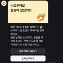 부스트복싱 | 제니 복싱화 아디다스 복서 호그 2.0 구매하지 마세요(내 돈 내산 리얼 후기)