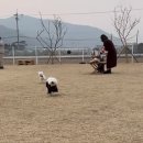 장군행정사사무소 이미지