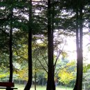 정읍산외한우 이미지