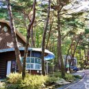 보람관광 이미지