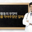 서일초등학교 이미지