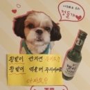 왕발마차 이미지