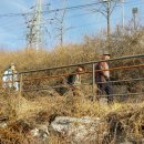 중랑천길 이미지