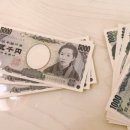 YOLOHOUSE 이미지