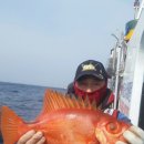 선상슈퍼 이미지