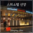 선양타워 | 중국 심양 여행 숙소 추천 스위소텔 선양 5성급 호텔 내돈내산 후기