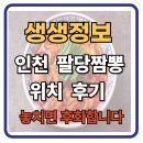 영식이네짜장 | 생생정보 인천 쭈꾸미볶음 유니짜장 맛집 - 팔당짬뽕 십정동 위치 후기