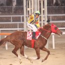 조이목장 이미지