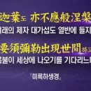 동방불교 이미지