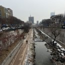 비타민약국 | 보령약국에서 비타민 구매 후기 (+약사 상담 느낌)