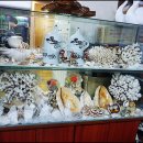 횟집 경포대 이미지