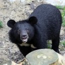 삼형제농장 이미지