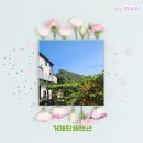 봉두공원 미니풋살장 | 거제단체펜션 리틀포레스트 1호점 세미나 장소로도 딱이야