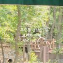 30.0커피