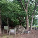 운학동 돌무지군 이미지