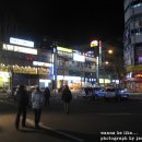라페스타 Daum카페