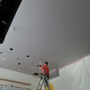 센텀애견샵 이미지