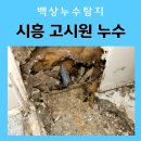 장현농장 | 시흥고시원누수, 장현지구 당일 해결 후기