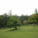 H8276 Daum카페