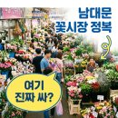 알뜰종합백화점 | 남대문 꽃시장 영업시간 위치 가격팁! 대도꽃종합상가 방문 전 필독
