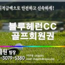 주식회사 위드코스 네이버블로그