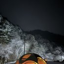 [홍천 캠핑] 또 가고싶은 2월 도새울캠핑장 A-7 후기