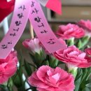 충대꽃화원 이미지
