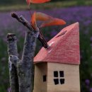 풍무숙명유치원 이미지