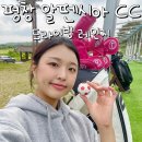 알펜시아 컨트리클럽 골프연습장 네이버블로그