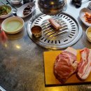 섬돼지 이미지
