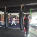 고잔복싱 이미지