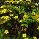 우장산동 이미지