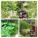 노적애뜰 이미지