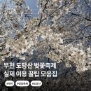 도당제2 | 부천 도당산 벚꽃축제 개화 주차 가는법