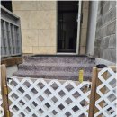 더블루네스 | 반려견과의 특별한 여행, 태안애견풀빌라 더블루네스 후기와 팁!