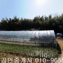 영암군 시종면 태간리 대지417제곱,매1800만원,전남토지매매,영암토지매매 이미지