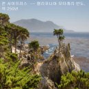 천과나무 이미지
