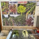 부대찌개와삼겹살연구소 | [양주맛집] 옥정 삼겹살 맛집 막내네부대찌개 솥뚜껑삼겹살, 열무국수까지 맛있는 곳 후기