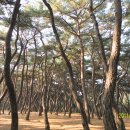 용장1리 이미지